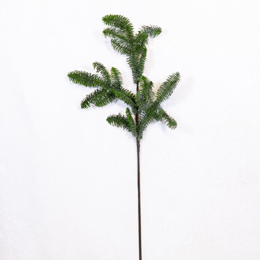 Noble Fir Spray