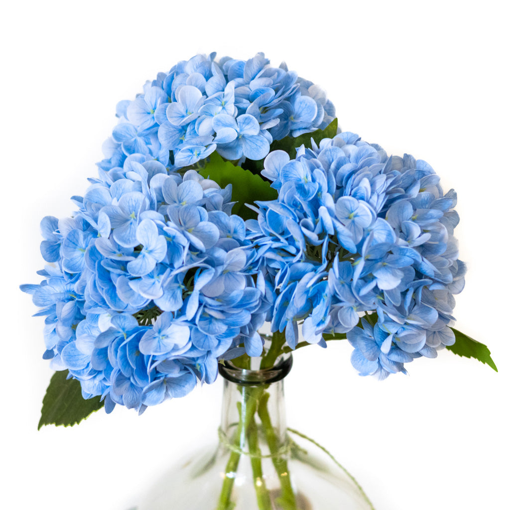 Blue Single Hydrangea Real Touch