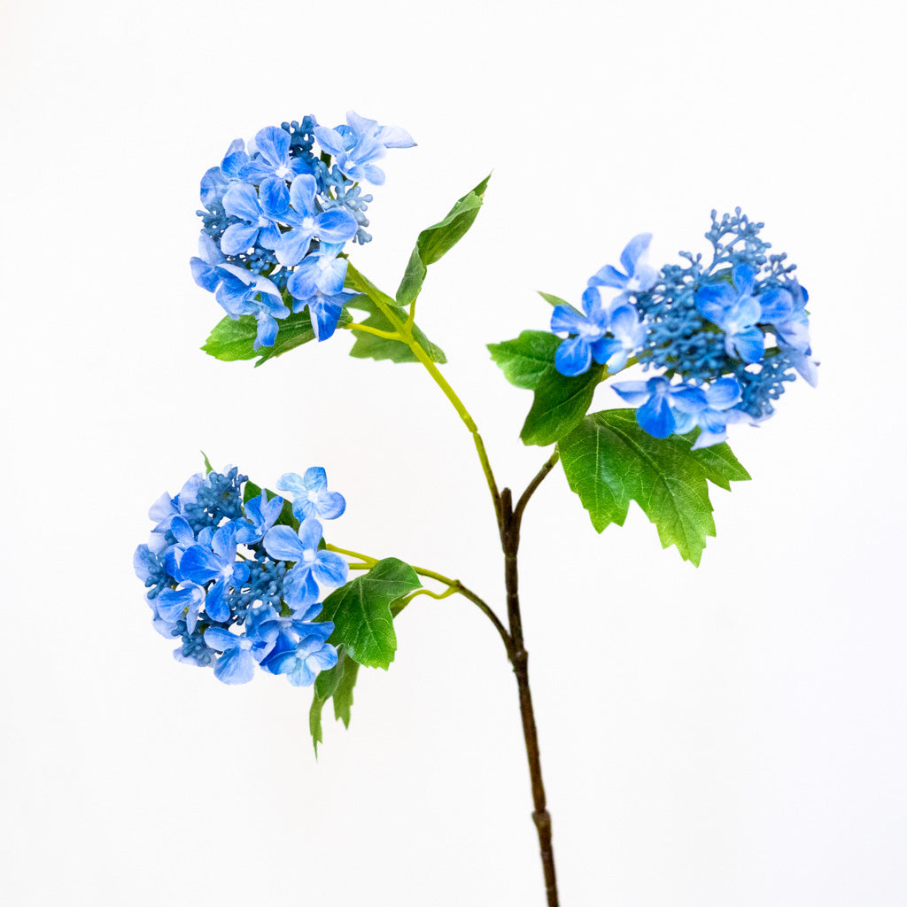 Blue Lace Hydrangea Spray