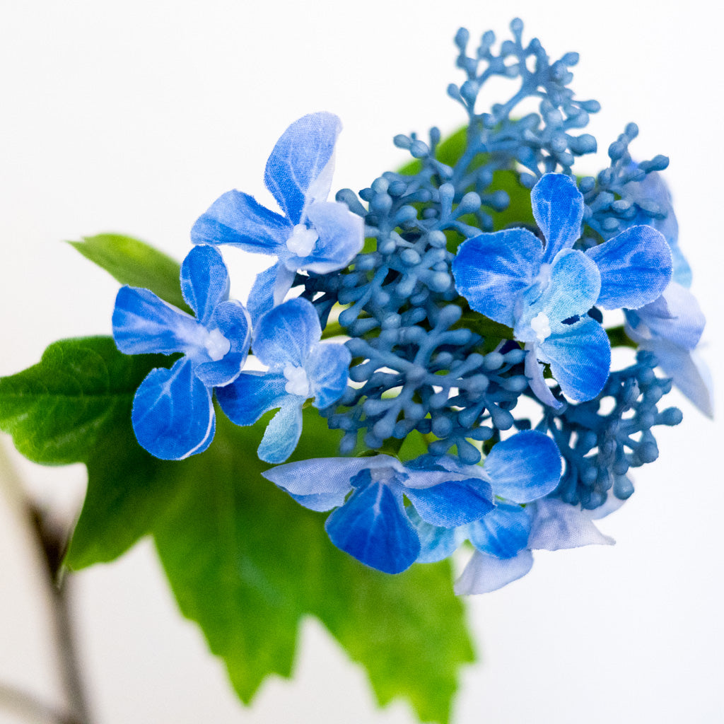Blue Lace Hydrangea Spray