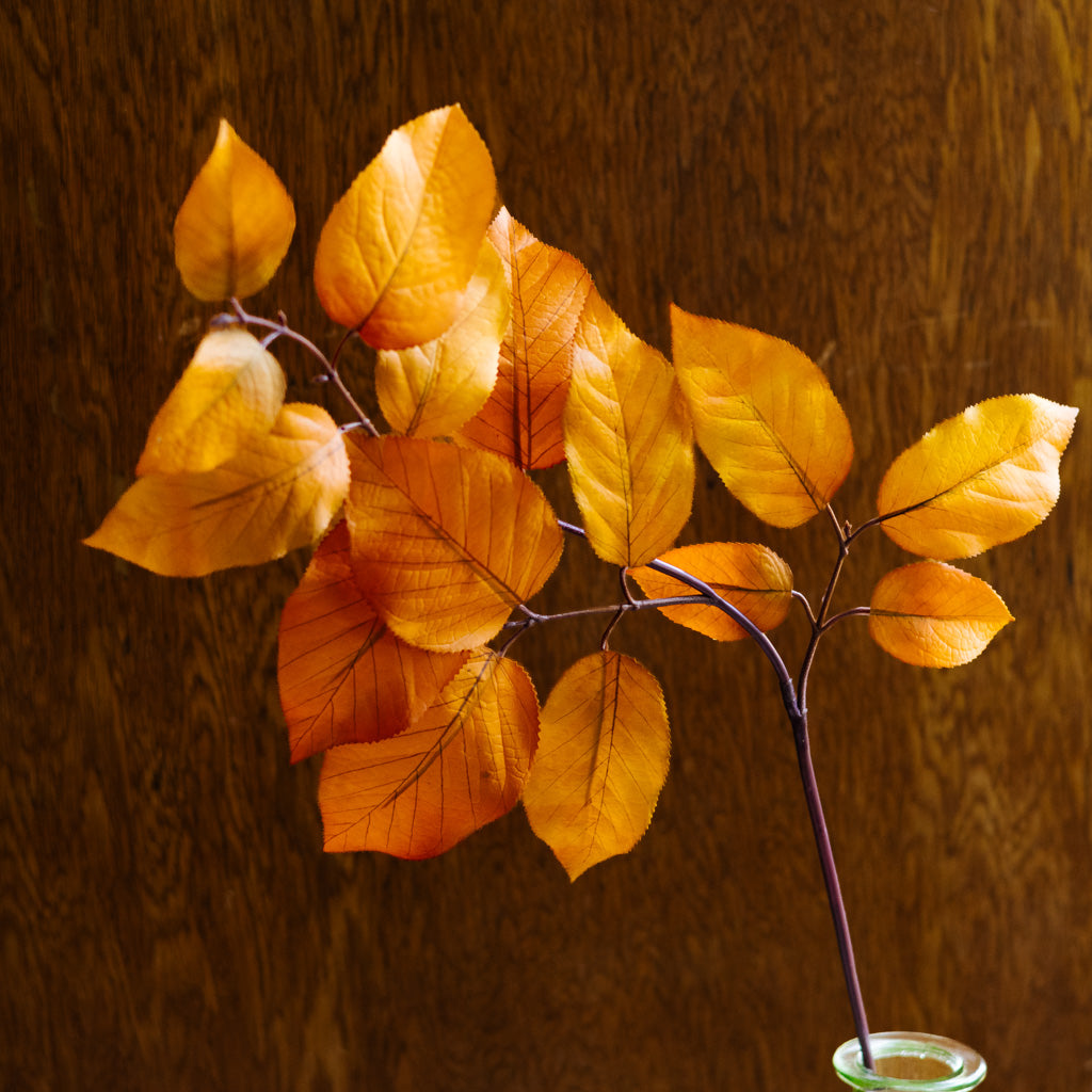 Caramel Autumn Salal Leaf Spray