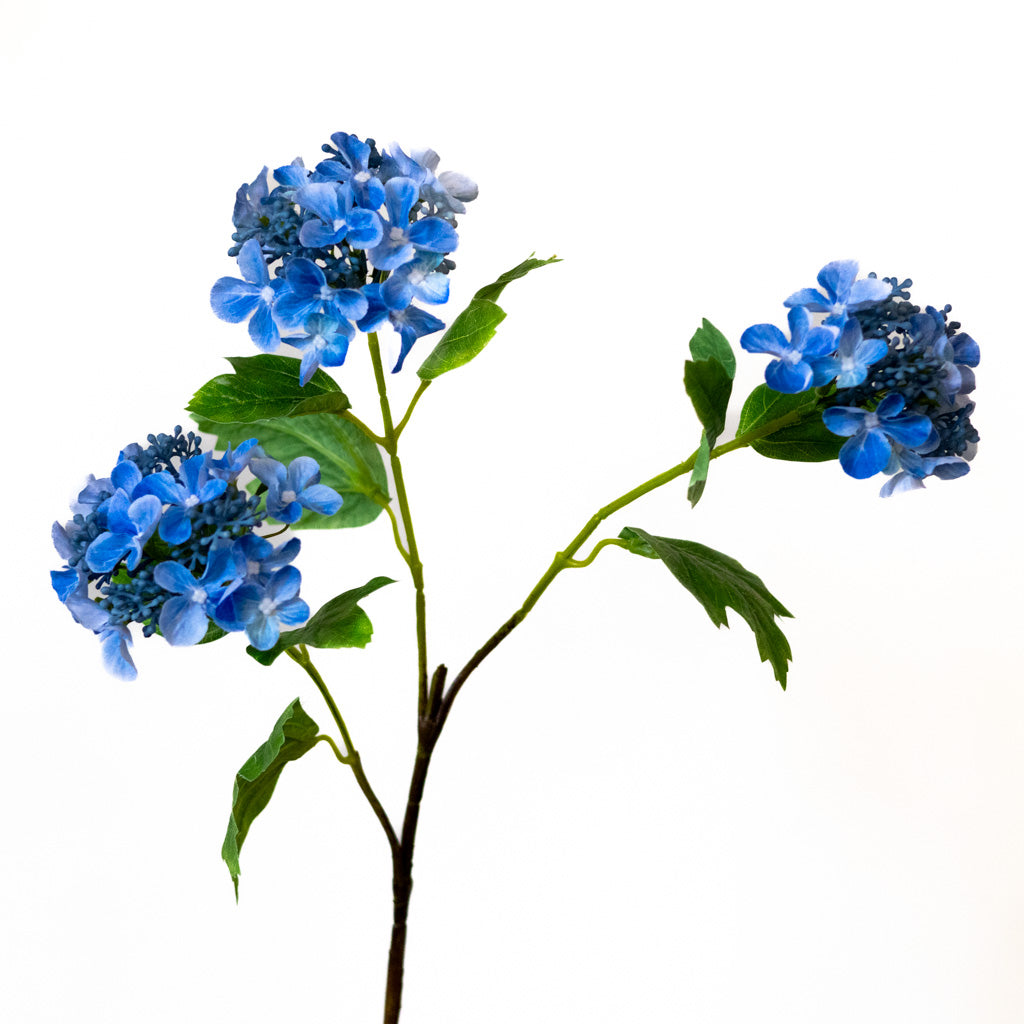 Blue Lace Hydrangea Spray