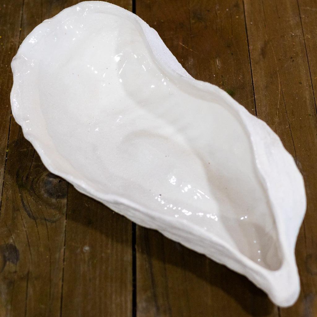 Stoneware White Shell Shaped Dish