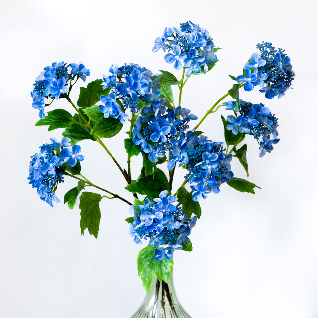Blue Lace Hydrangea Spray
