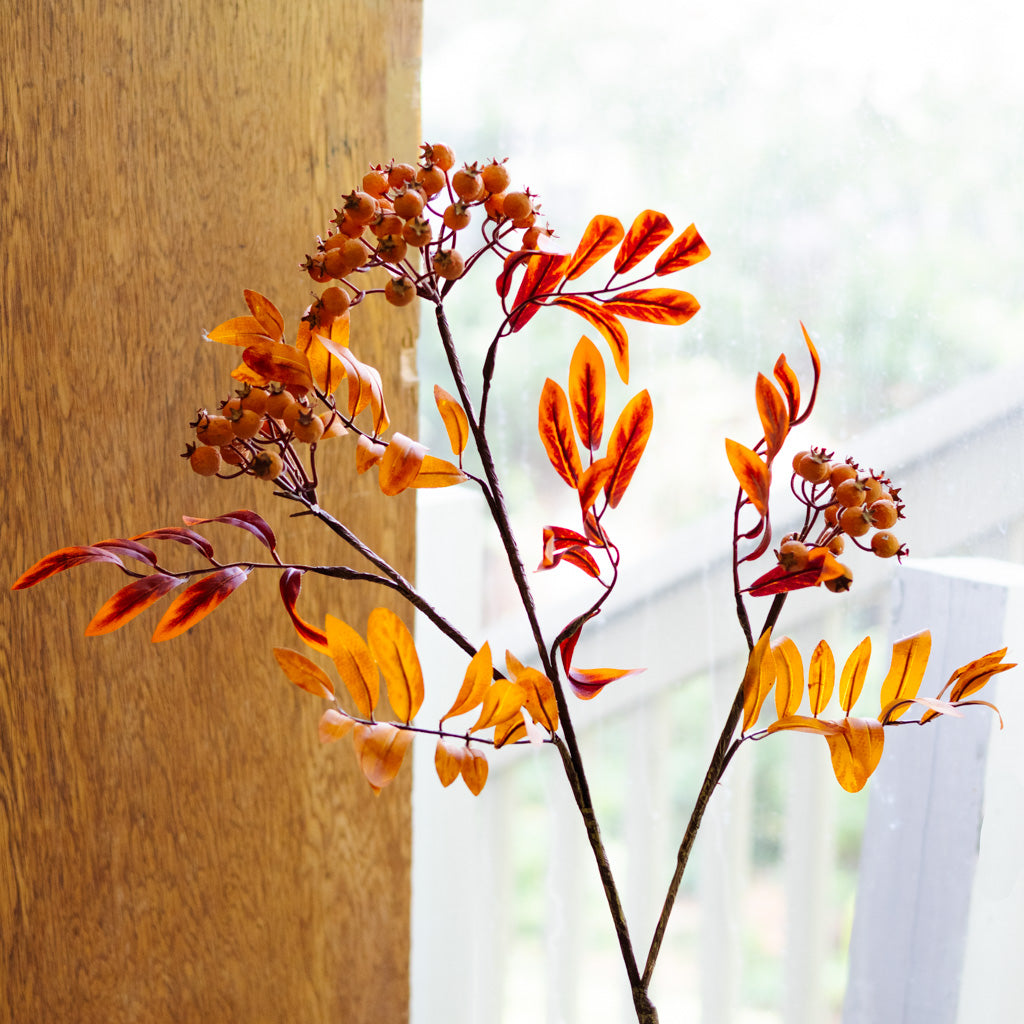 Orange Berry Spray