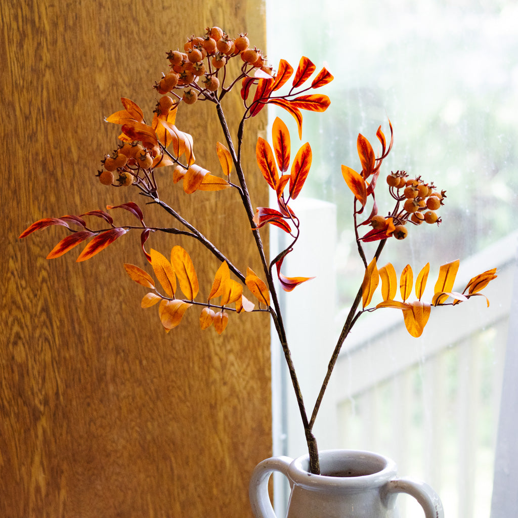 Orange Berry Spray