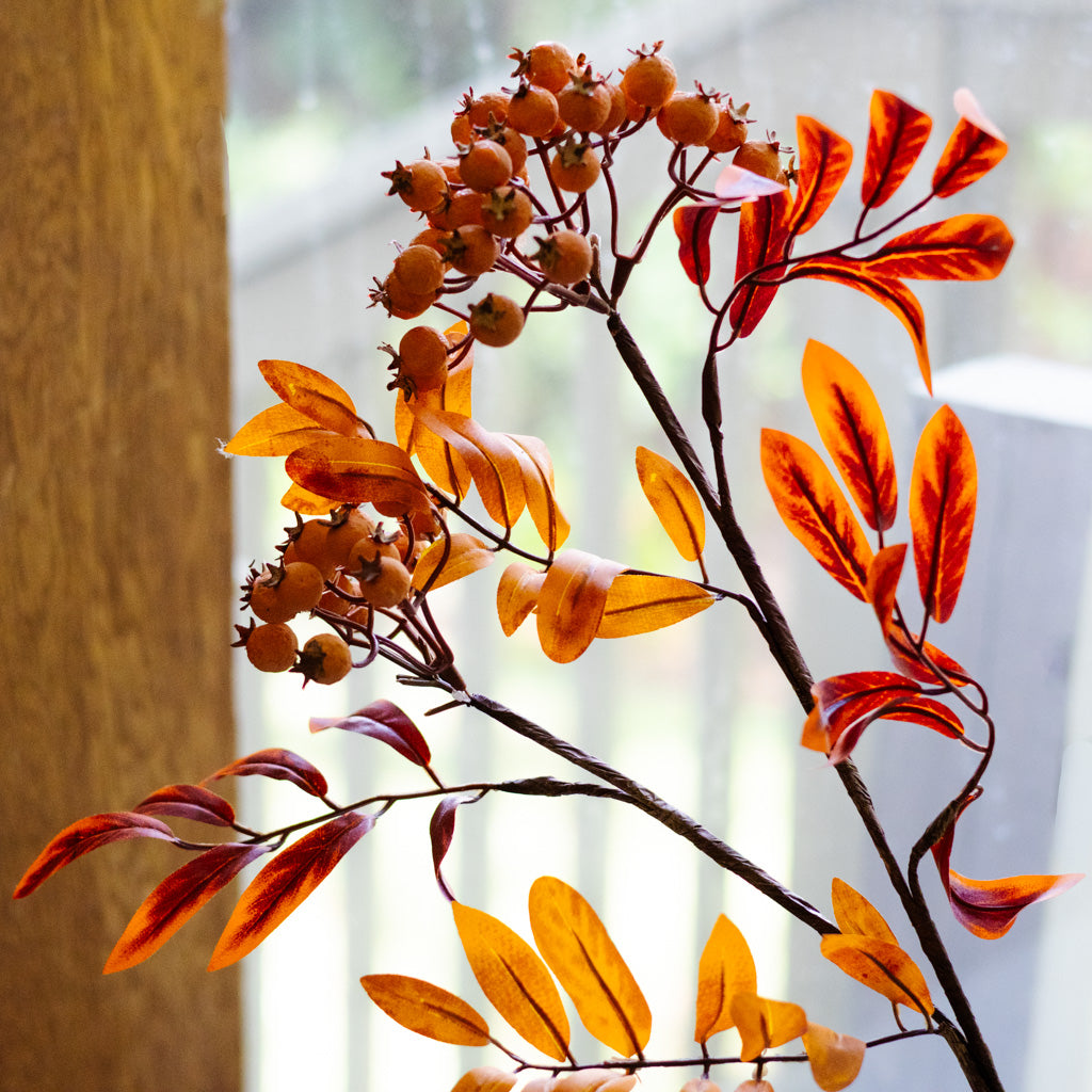 Orange Berry Spray