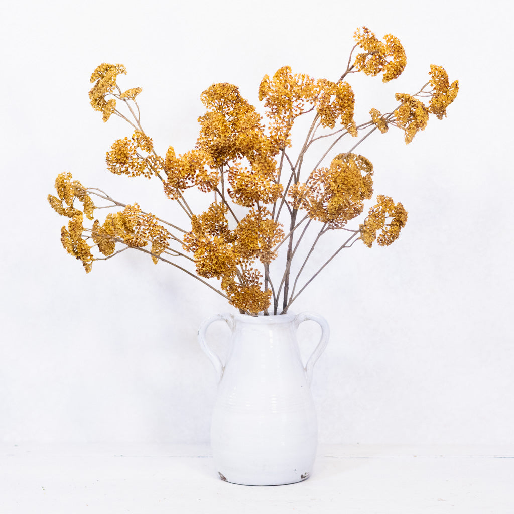 Achillea Spray Mustard