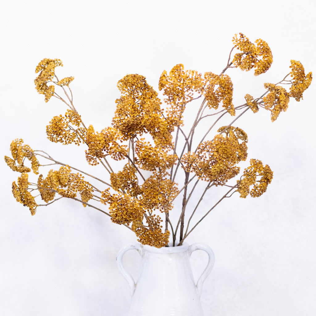 Achillea Spray Mustard