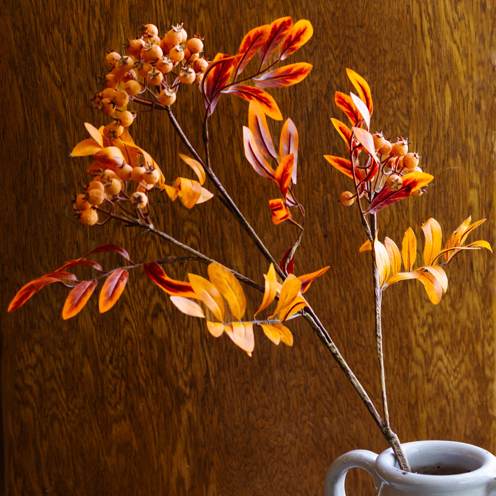 Orange Berry Spray