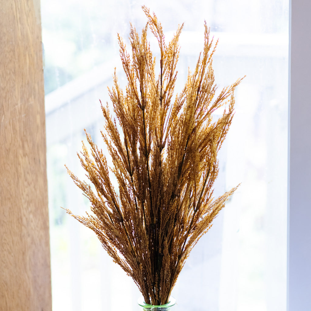 Dark Gold Wheat Bush