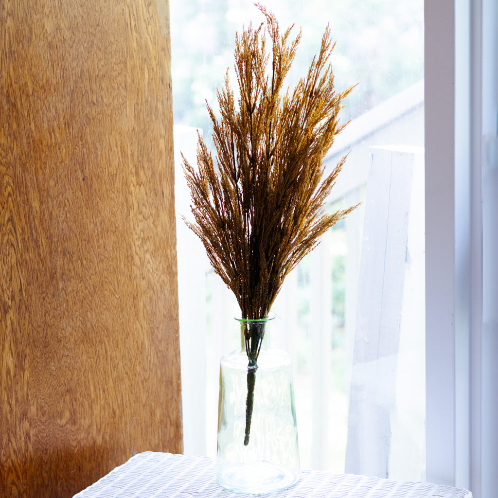 Dark Gold Wheat Bush
