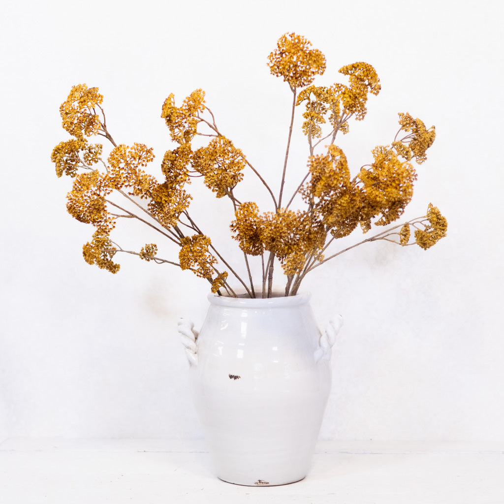 Achillea Spray Mustard