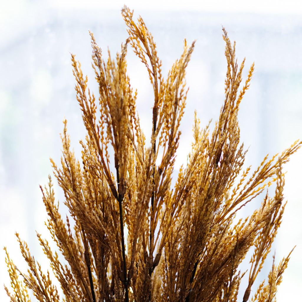 Dark Gold Wheat Bush