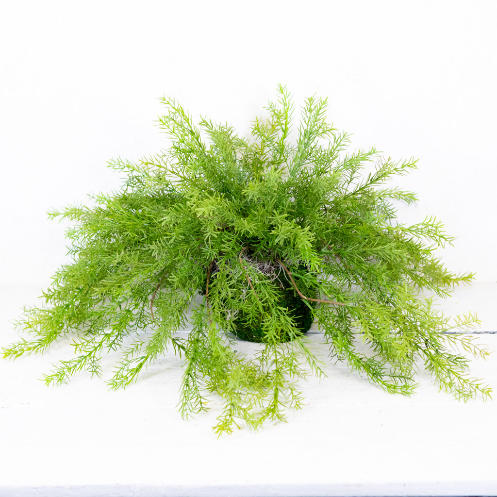 Double Asparagus Round Drop In