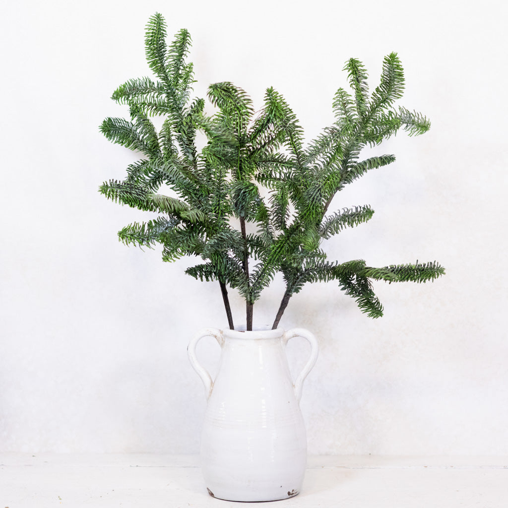 Noble Fir Spray