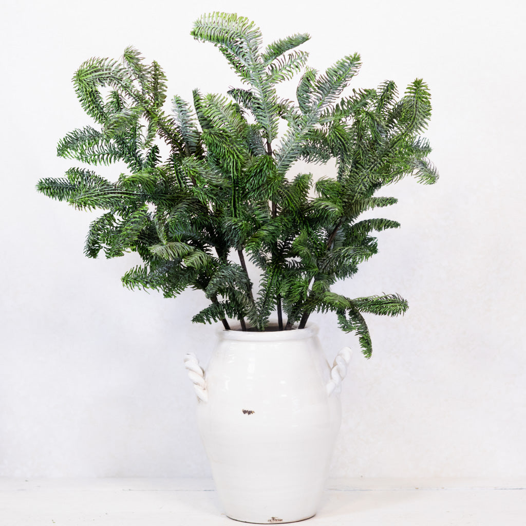 Noble Fir Spray
