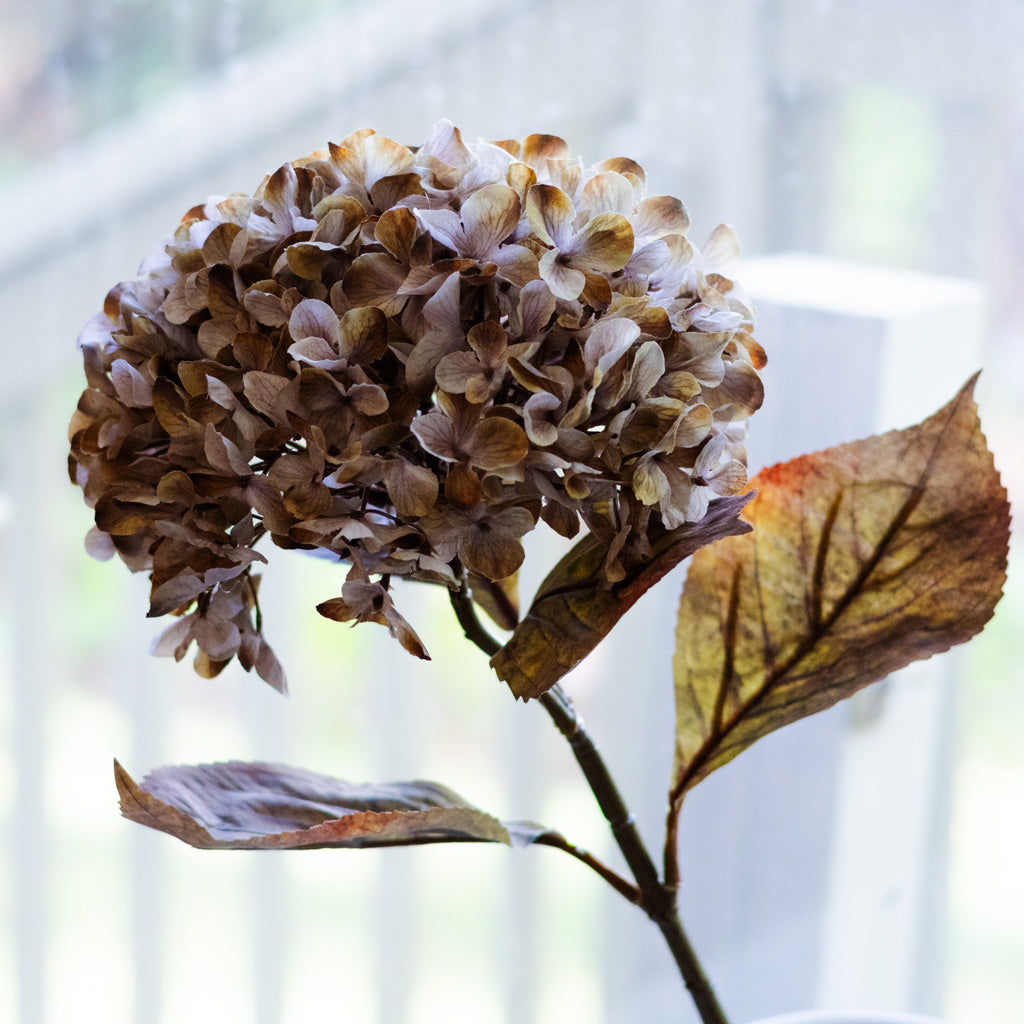 Brown Cream Hydrangea Spray