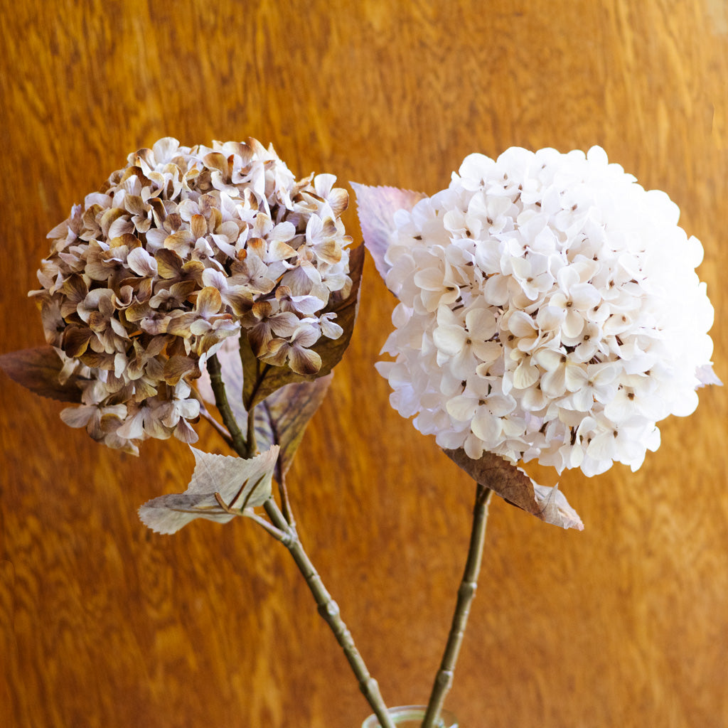 Brown Cream Hydrangea Spray