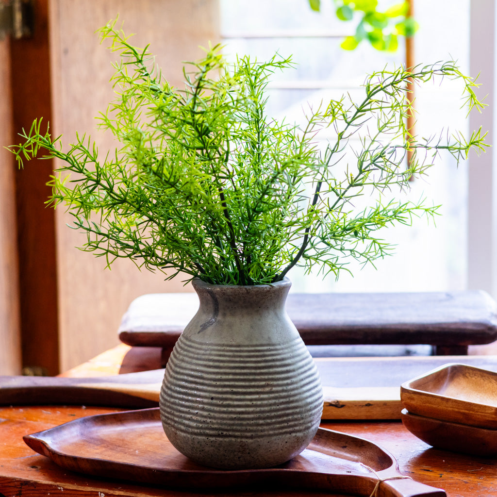 Springeri Short Stem