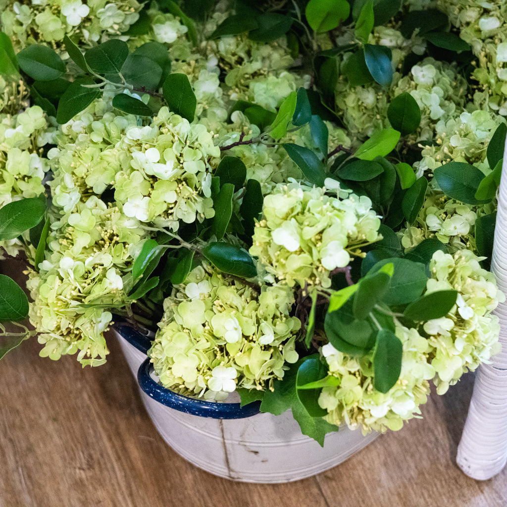Green Virburnum Bundle Real Touch