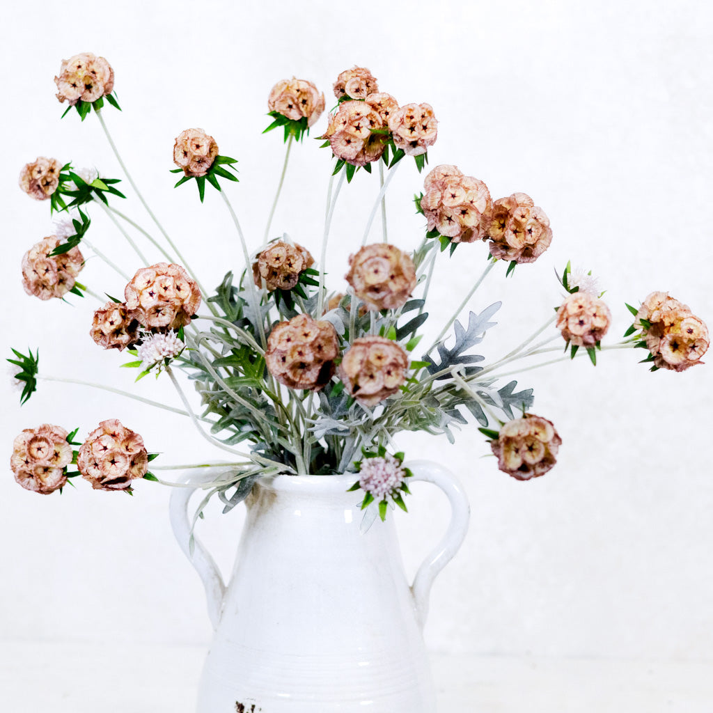 Pink Scabiosa Pod Spray