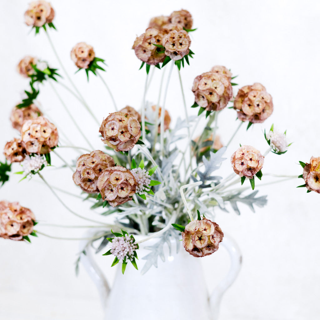 Pink Scabiosa Pod Spray