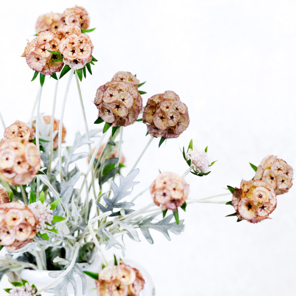 Pink Scabiosa Pod Spray