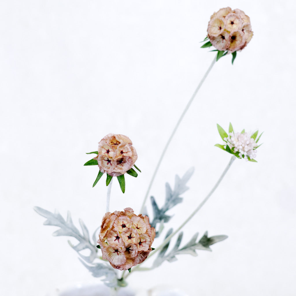 Pink Scabiosa Pod Spray