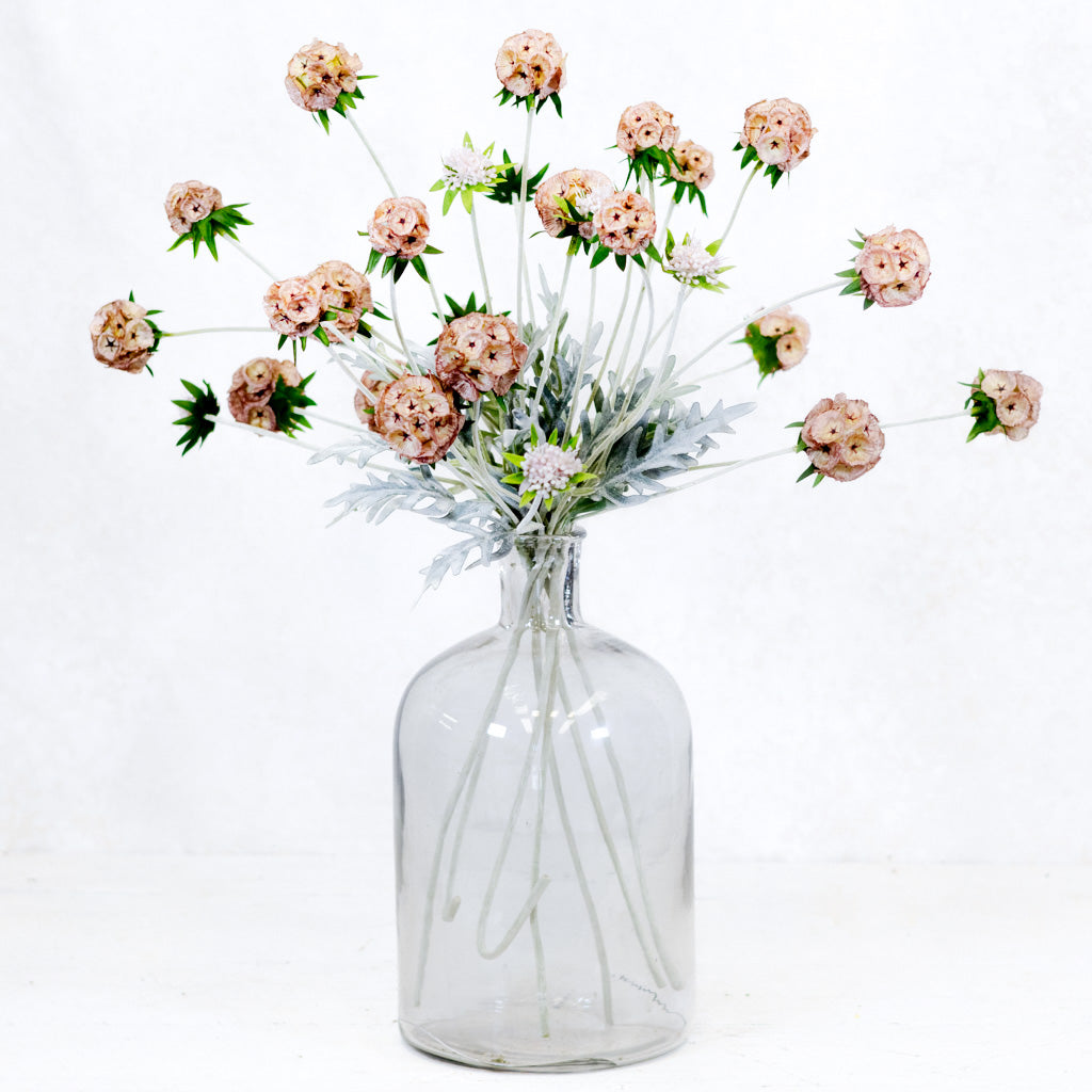 Pink Scabiosa Pod Spray