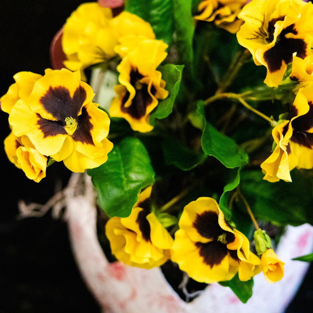 Yellow Pansy Drop In