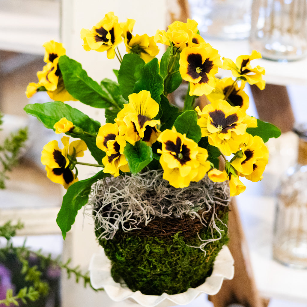 Yellow Pansy Drop In