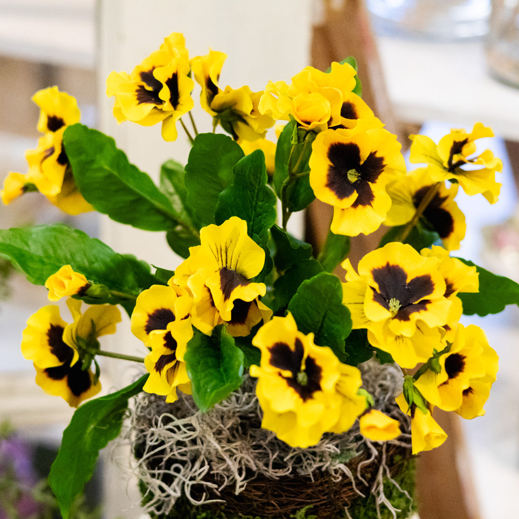 Yellow Pansy Drop In