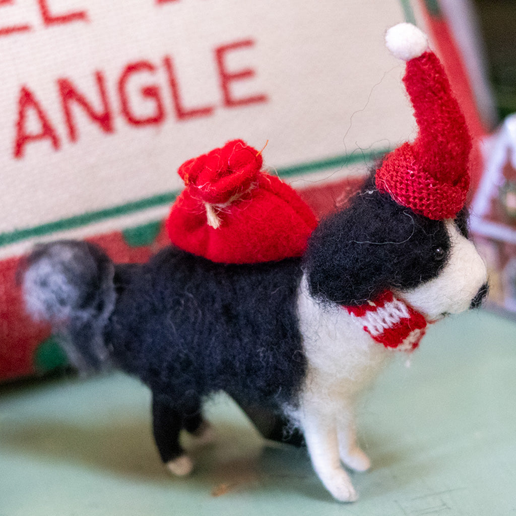 Black & White Dog with Red Hat and Knapsack