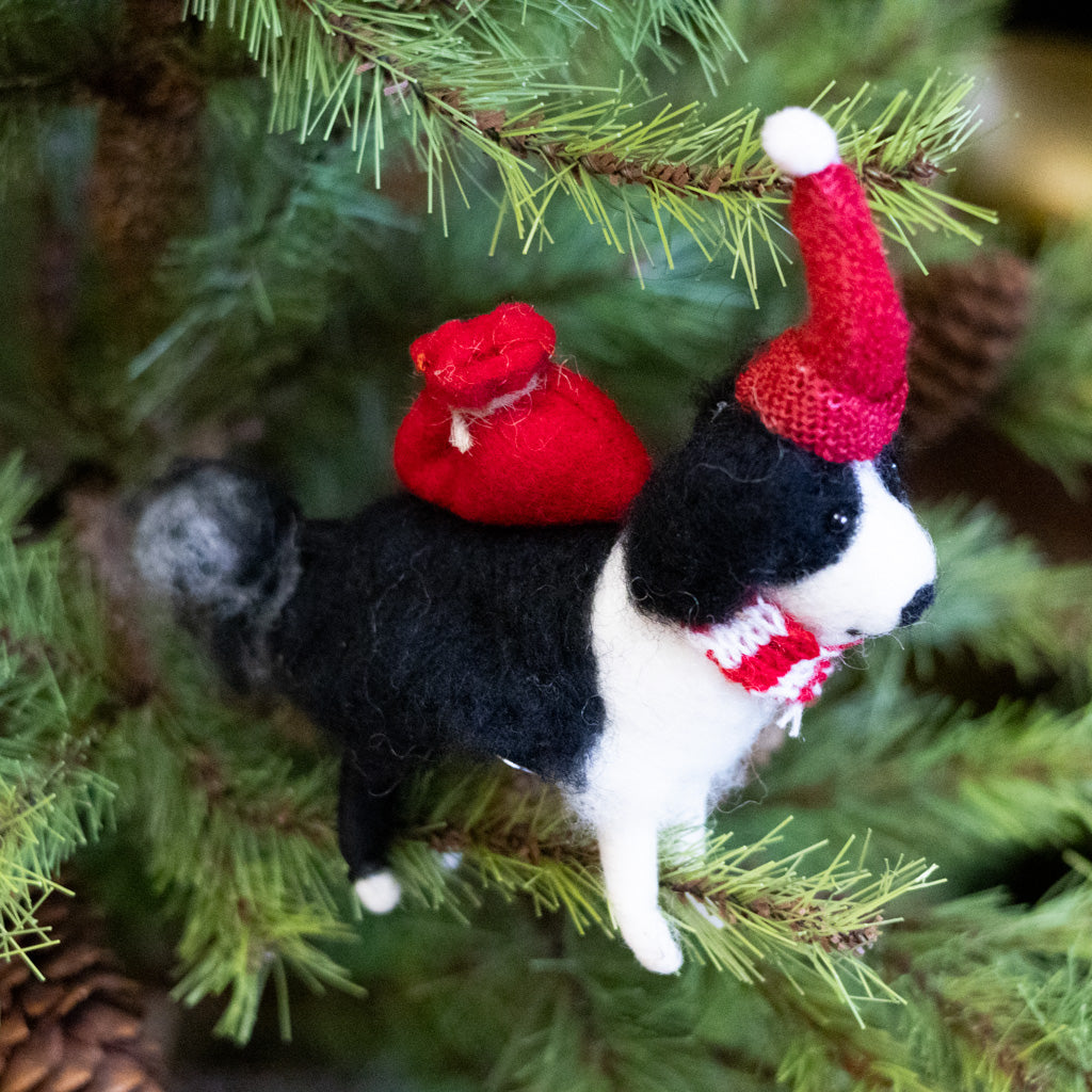 Black & White Dog with Red Hat and Knapsack