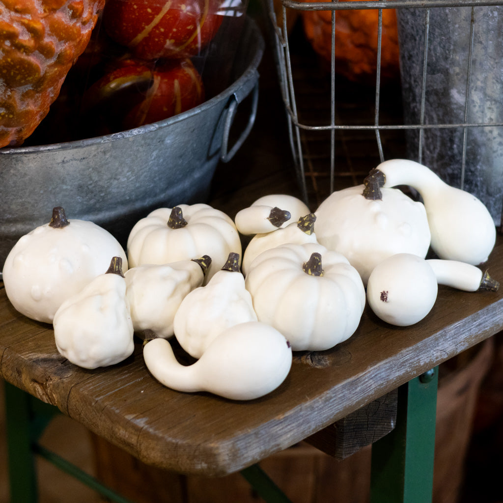 Mixed Small Pumpkins and Gourds Cream Bag of Twelve