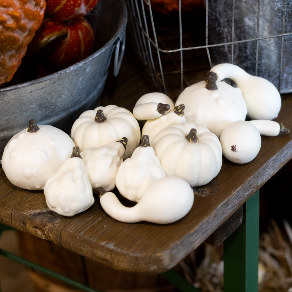 Mixed Small Pumpkins and Gourds Cream Bag of Twelve