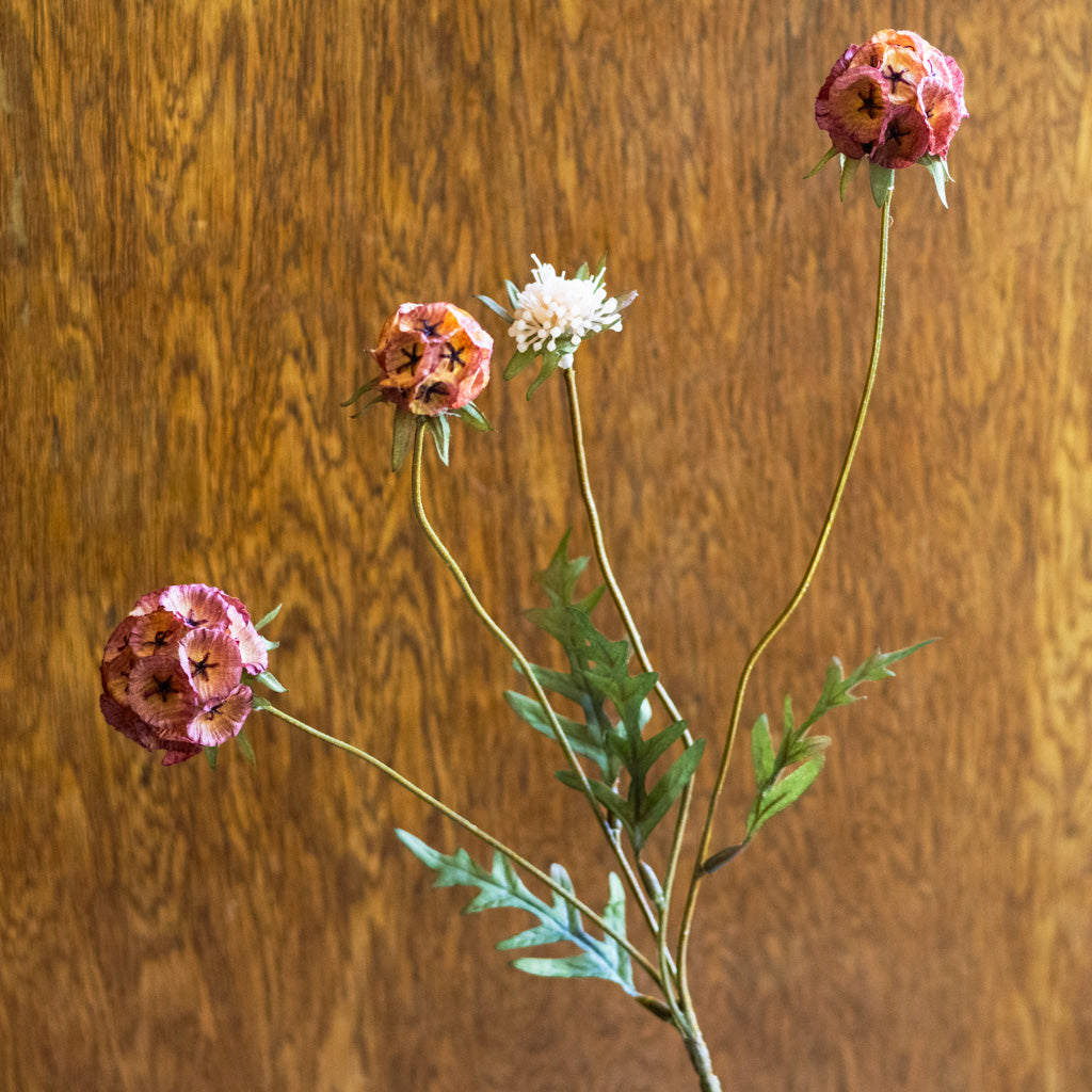 Autumn Cinnamon Spice Scabiosa Spray