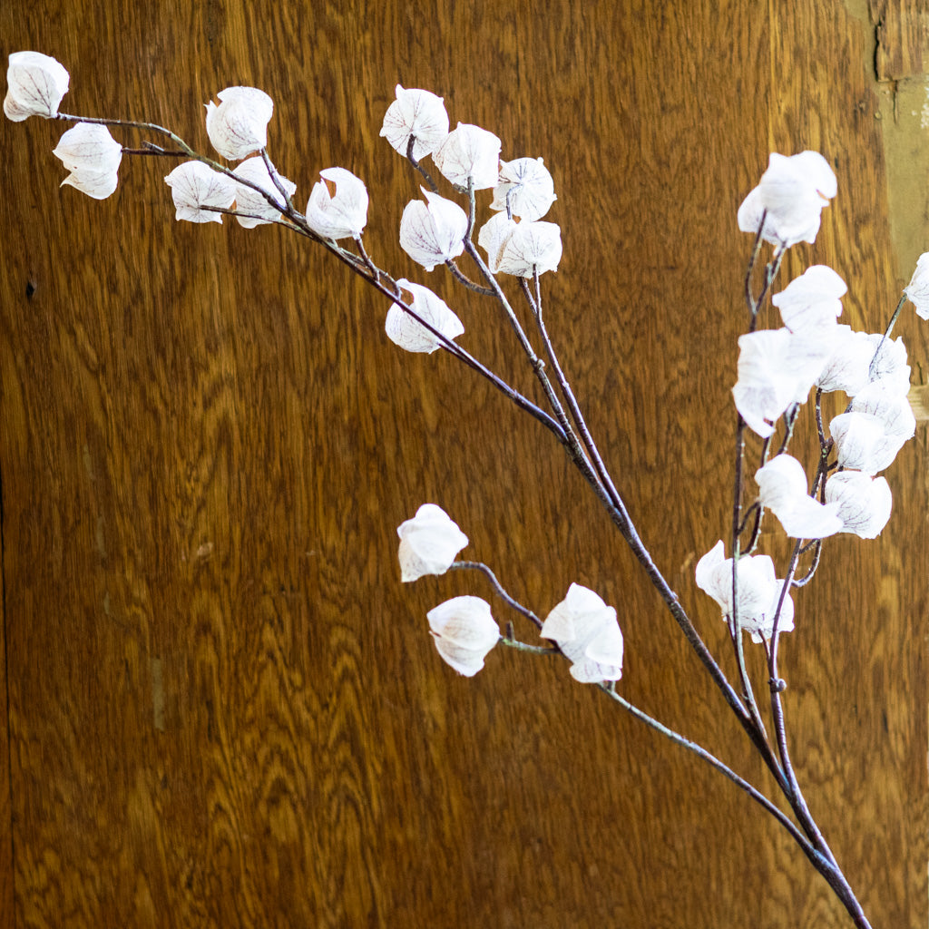 Autumnal Chinese Cream Brown Lantern Spray