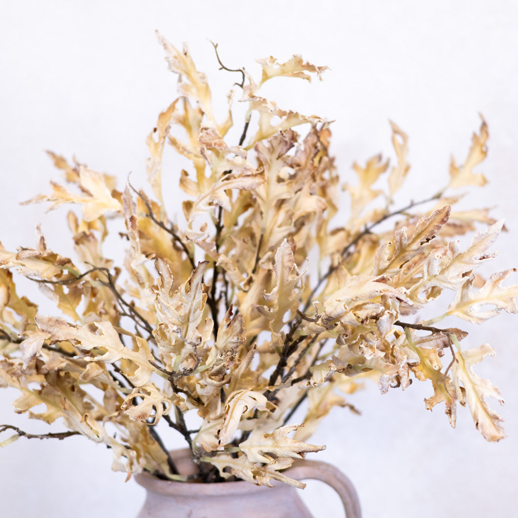 Dried Parchment Oak Leaf Spray