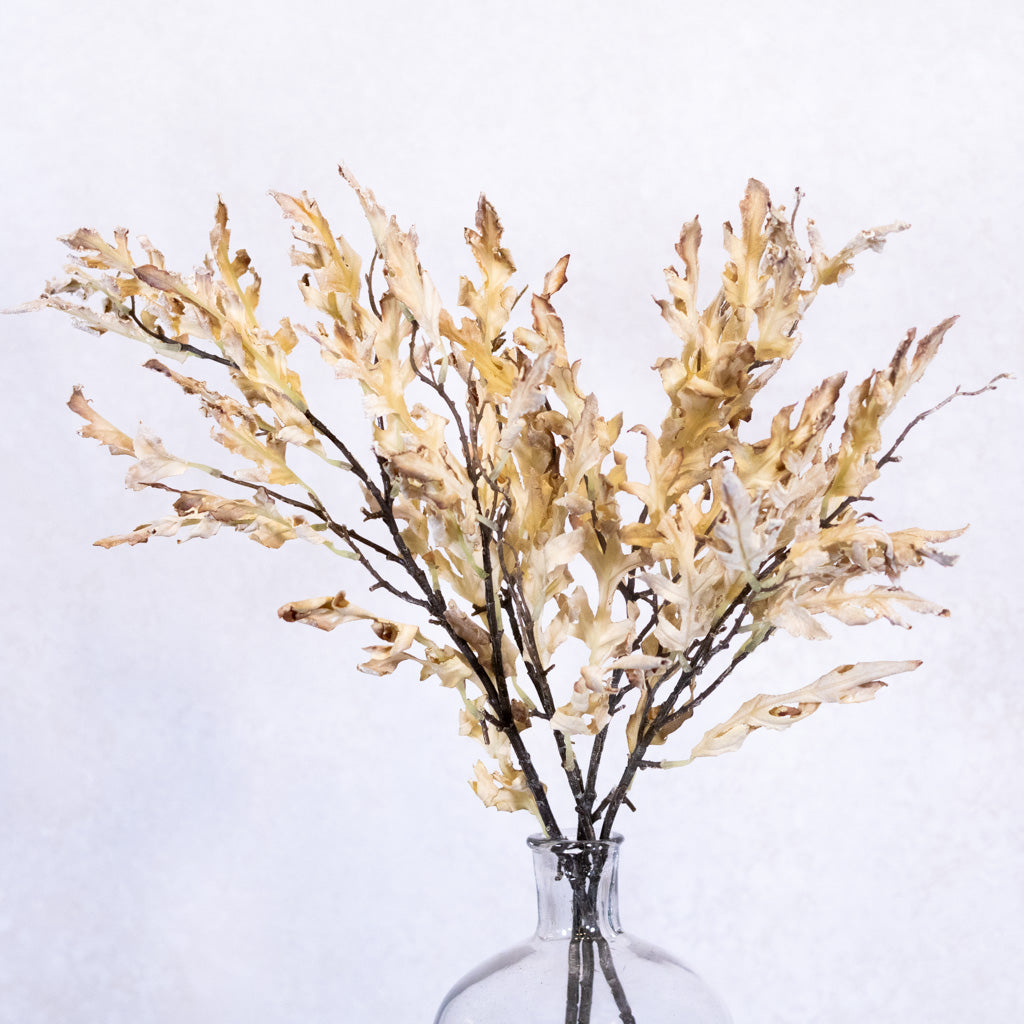 Dried Parchment Oak Leaf Spray