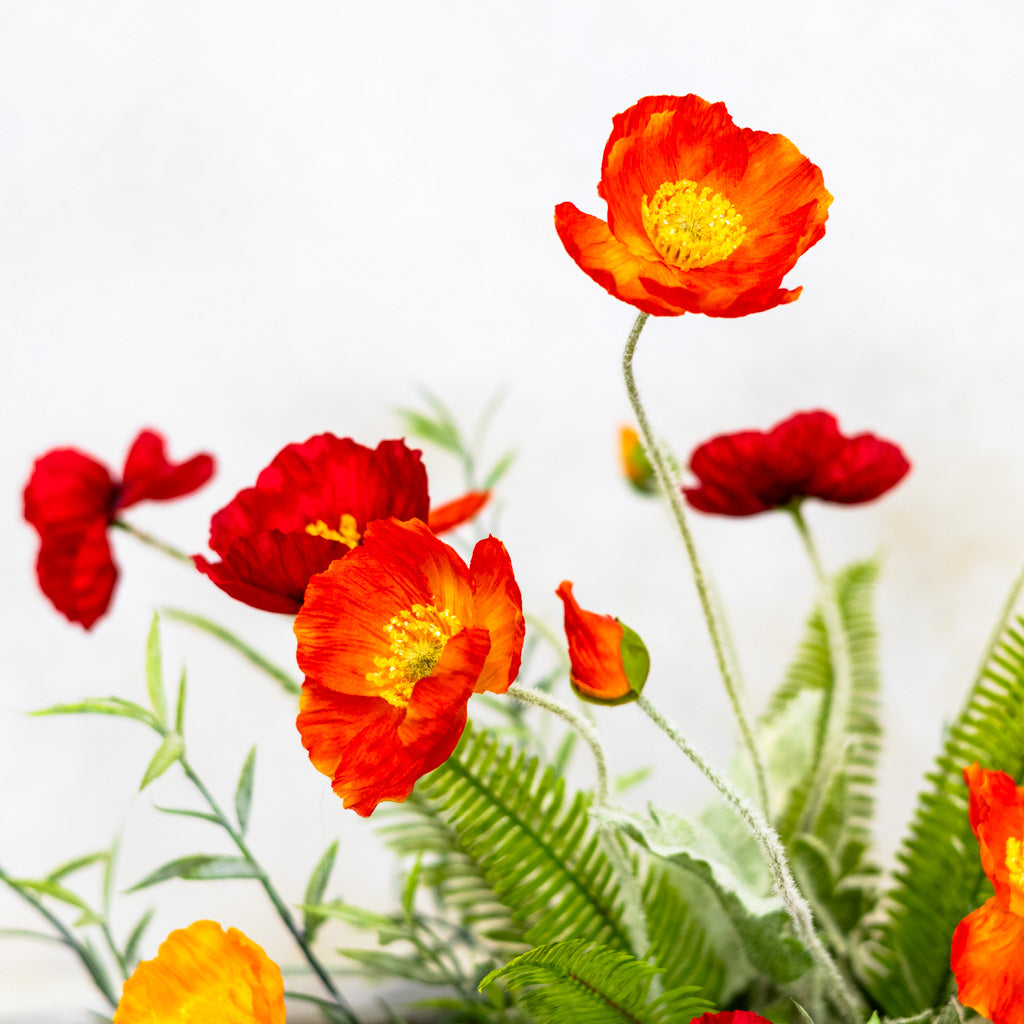 Poppy Centerpiece