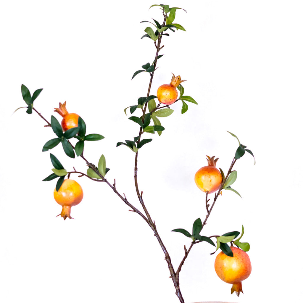 Blush Pomegranate Branch