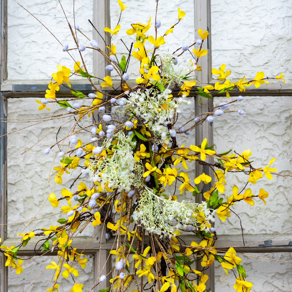 Forsythia Down Drop