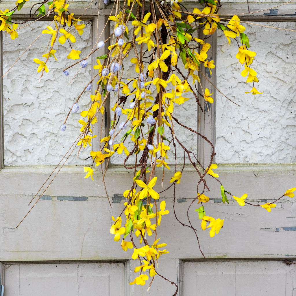 Forsythia Down Drop