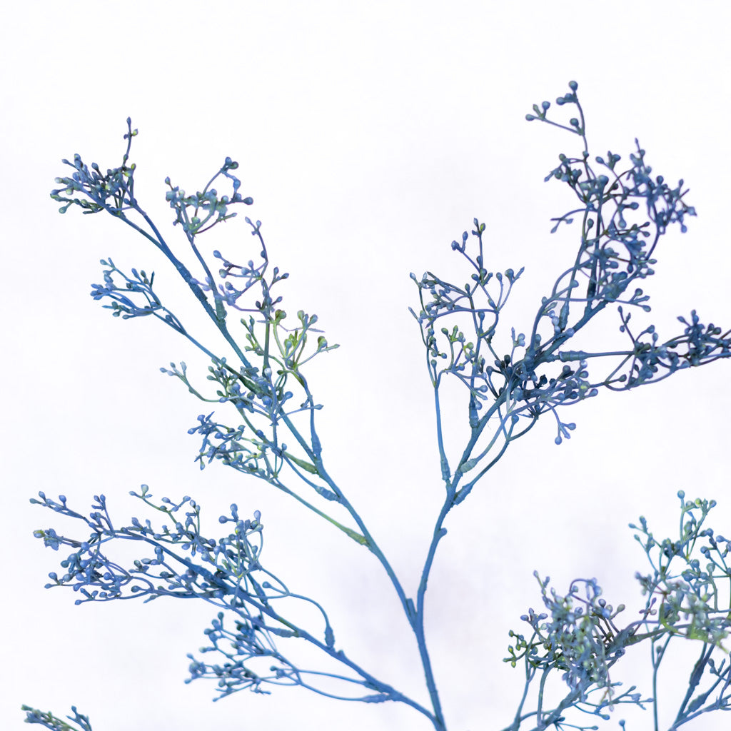 Mini Seed Blue Berry Spray