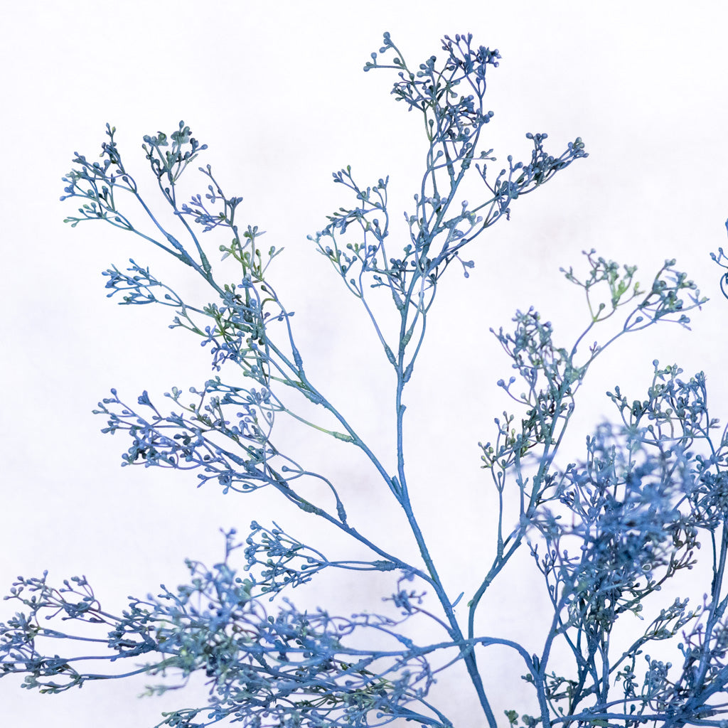 Mini Seed Blue Berry Spray