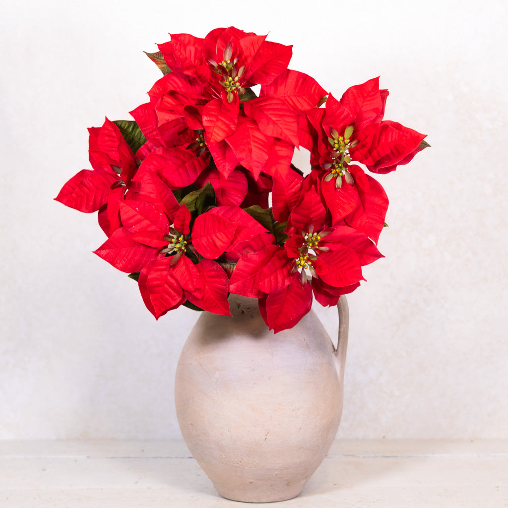 Red Poinsettia Bush Weather Resistant