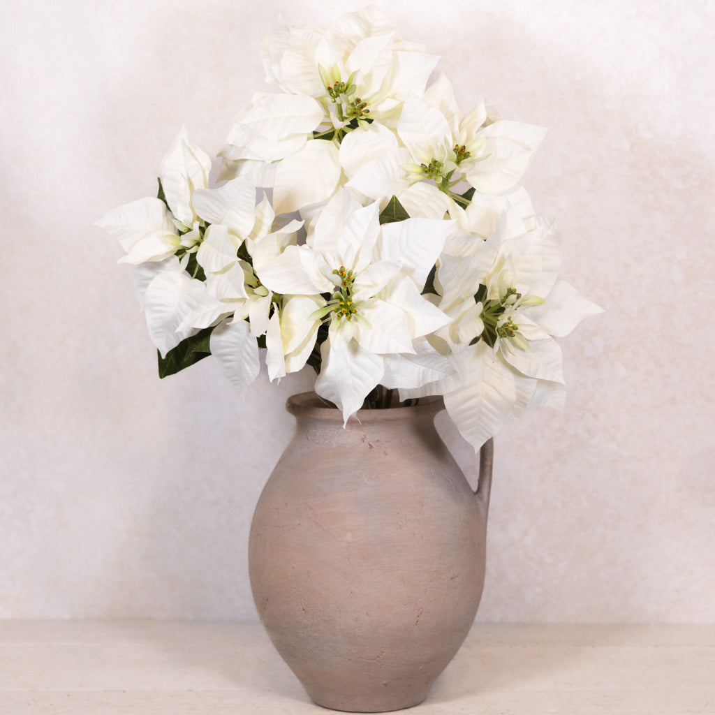 White Poinsettia Bush Weather Resistant