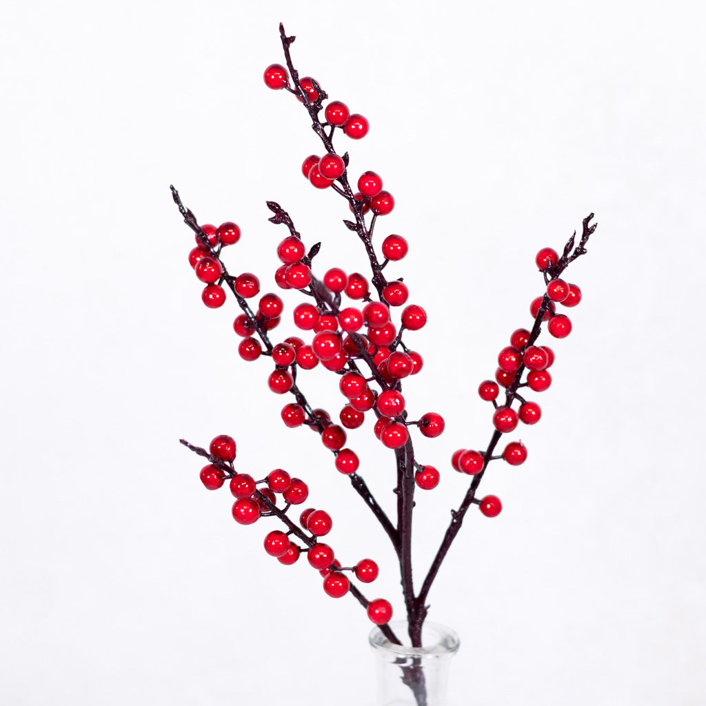 Ilex Red Berry Pick